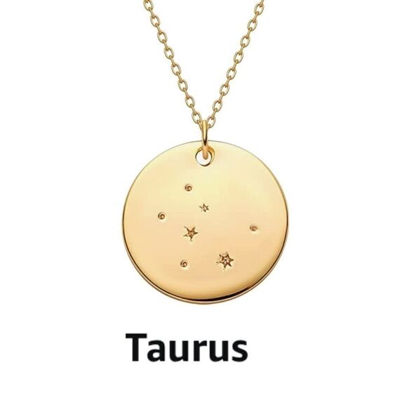 Pisces Zodiac Sign Disc Constellation Necklace - Picture 7 of 16